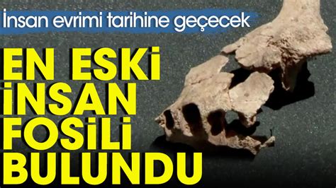 bulunan en eski insan fosili